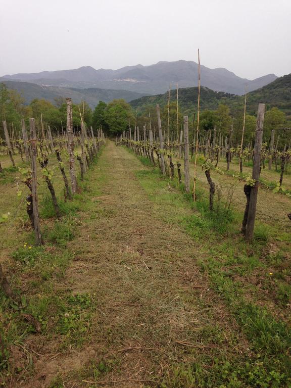 B&B La Timpa Del Cucco Roccagloriosa Bagian luar foto